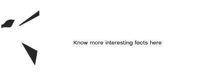 LS Digital Design